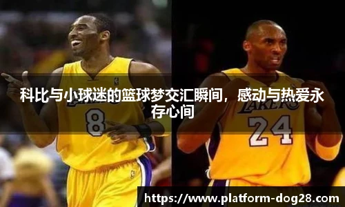 狗子28平台